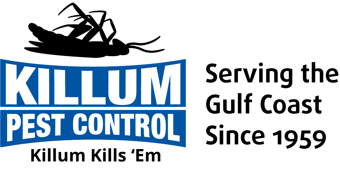 Killum Pest Control