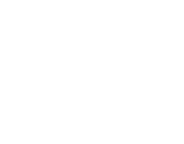 Killum Pest Control