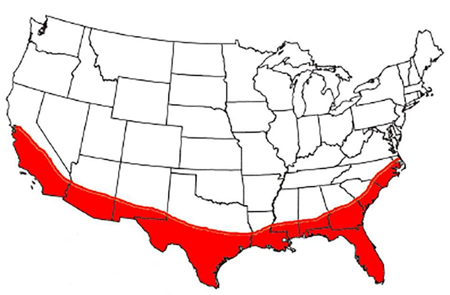 Drywood termite US map